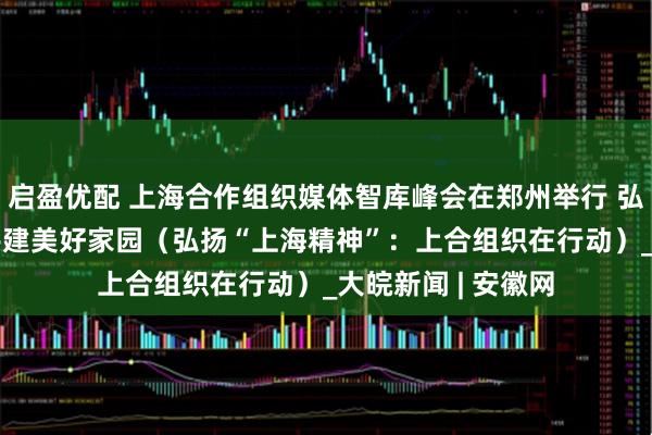启盈优配 上海合作组织媒体智库峰会在郑州举行 弘扬“上海精神” 共建美好家园（弘扬“上海精神”：上合组织在行动）_大皖新闻 | 安徽网