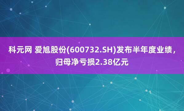 科元网 爱旭股份(600732.SH)发布半年度业绩，归母净亏损2.38亿元