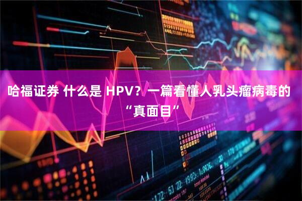 哈福证券 什么是 HPV？一篇看懂人乳头瘤病毒的 “真面目”